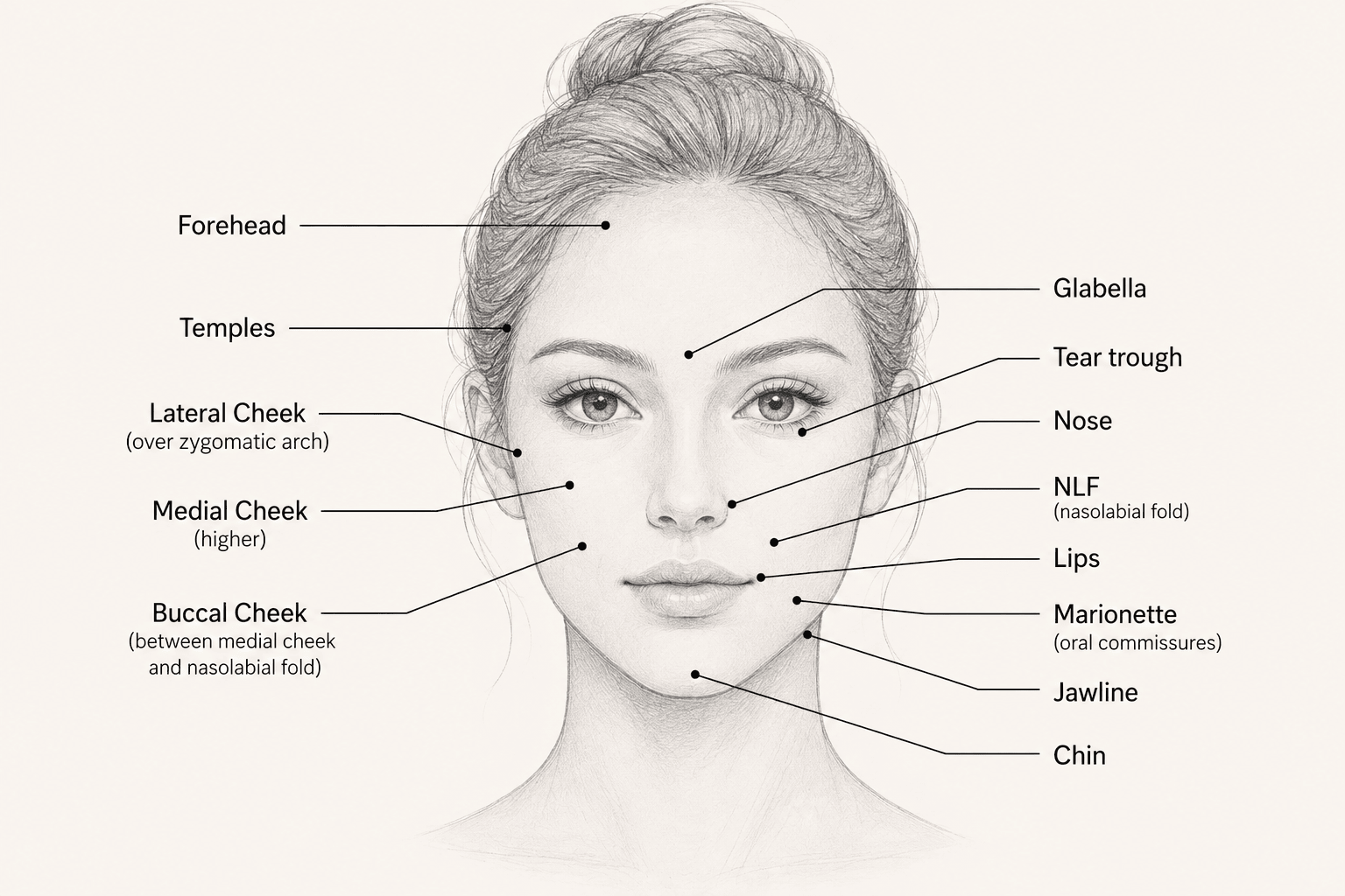 Facial regions reference